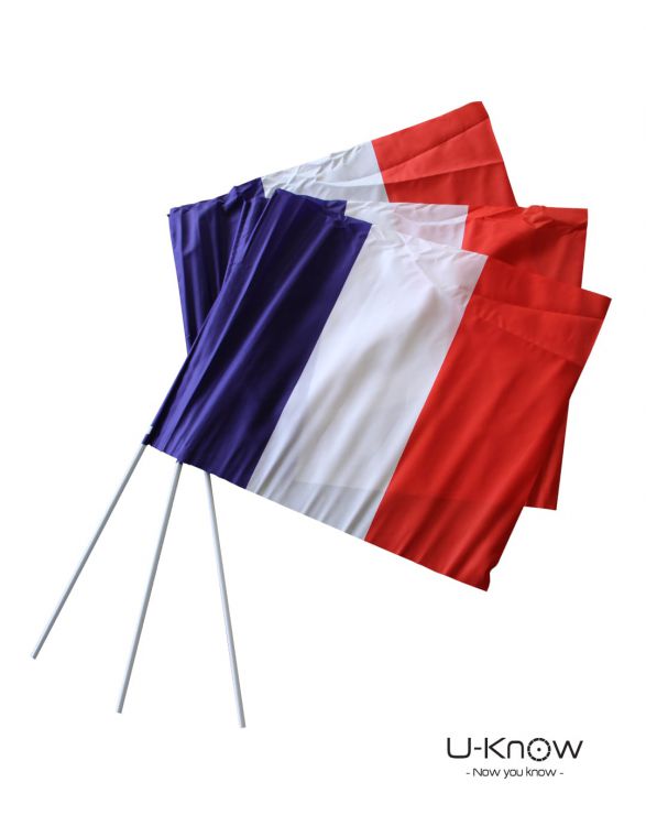 DS 95  Flag Polyester-Made 21 x 15 cm